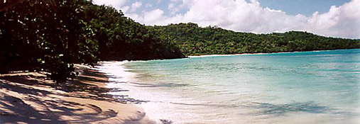 maho beach jpeg